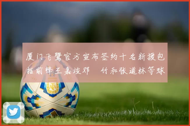 厦门飞鹭官方宣布签约十名新援包括前锋王嘉竣邓棽竹和张道林等球员