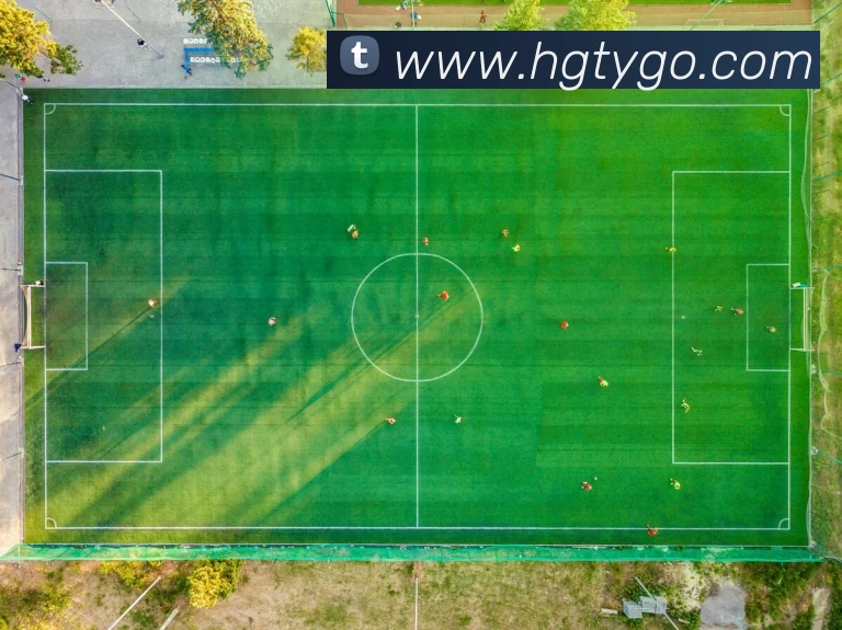 皇冠体育平台生态图